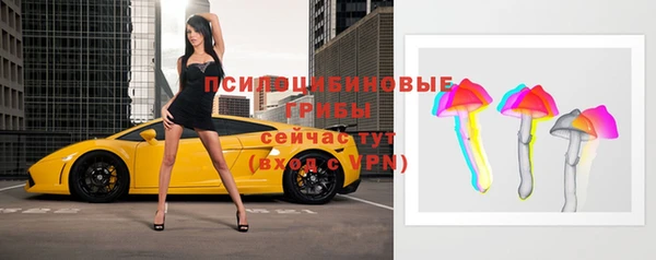 apvp Вязьма