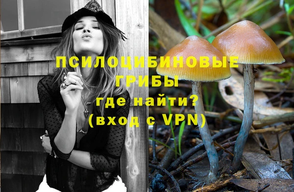 метадон Богородицк